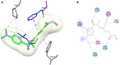 Advanced Computational Methodologies Used in the Discovery of New Natural Anticancer Compounds